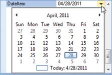 Date Data Type